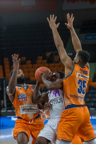 带来的乐趣 带来的乐趣